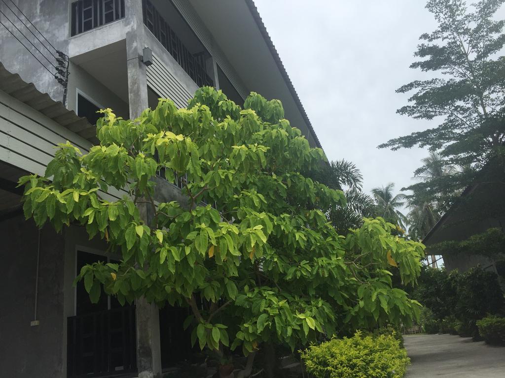 Baan Suan Ta Hotel Ko Tao Exteriér fotografie